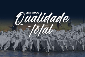 LEILÃO VIRTUAL QUALIDADE TOTAL